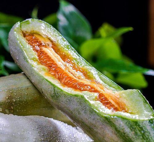 吃瓜解渴视频大全,笑料百出，精彩纷呈！