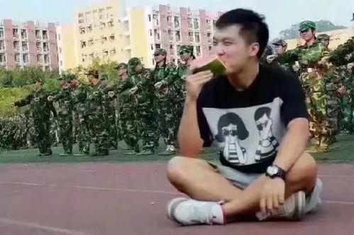 吕小明吃瓜群众,吃瓜群众的视角，揭秘娱乐圈风云