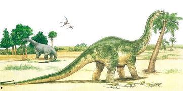 恐龙视频吃瓜,揭秘史前巨兽的“吃瓜”生活