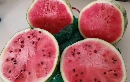 吃麒麟瓜的照片,镜头下的甜蜜诱惑