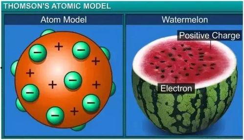 吃瓜模型,网络舆论场中的角色与影响