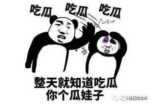 挑战不出门吃瓜,尽享天下瓜事