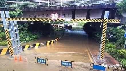 高密吃瓜群,揭秘网络社交的“瓜田”奇观