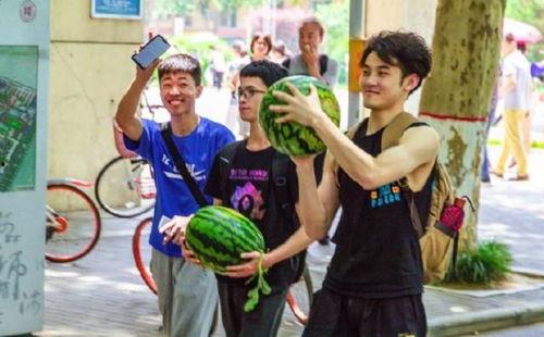 吃瓜河南某校,揭秘校园里的“瓜田”风云”