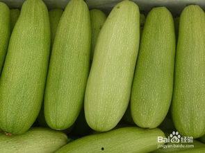 白瓜能带皮吃吗,揭秘能否带皮食用的奥秘