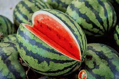 介休最近吃瓜,最新吃瓜事件大盘点