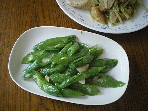 玩蛇吃瓜,揭秘网络热梗背后的趣味与智慧