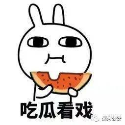 吃瓜的贼,一场关于好奇心与正义的较量