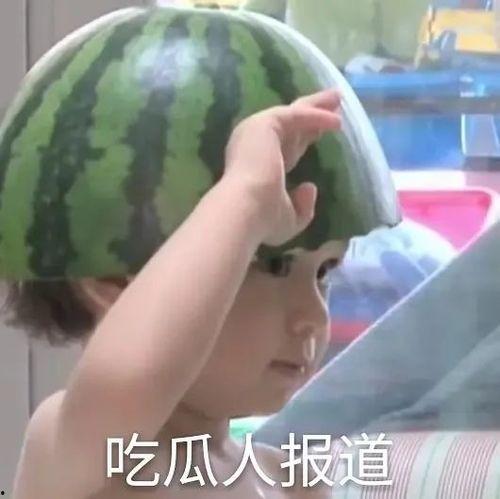 带你吃瓜沙雕动物,带你领略沙雕动物界的欢乐盛宴