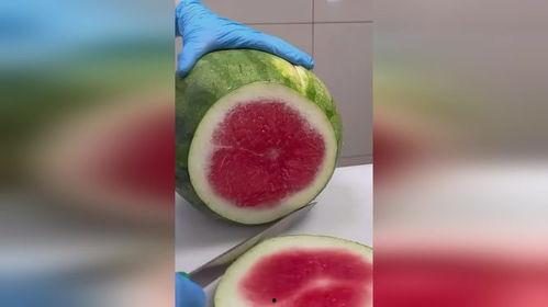 网上怎么吃瓜啊,轻松掌握吃瓜技巧