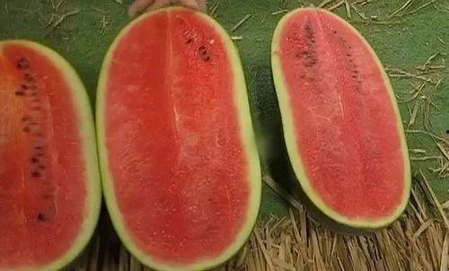 低价吃瓜视频,揭秘网络娱乐的低价诱惑