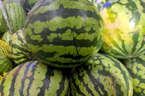 吃瓜卖芒果,吃瓜卖芒果，共享清凉好时光