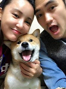 天涯吃瓜人,网络舆论场中的众生相