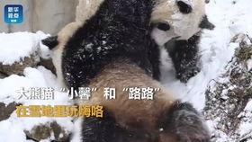 小馨吃瓜,揭秘娱乐圈那些不为人知的幕后故事