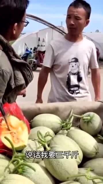 吃瓜收费,一瓜千金，你准备好了吗？