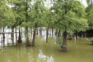 吃瓜视频大峡谷,吃瓜视频中的自然奇观之旅