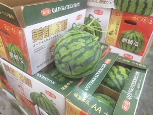 温州吃瓜群,揭秘当地美食文化圈