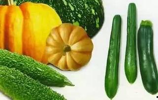 晚上吃老瓜,品味传统美食的温馨时光