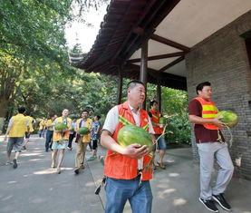 人间吃瓜群众,揭秘娱乐圈幕后真相